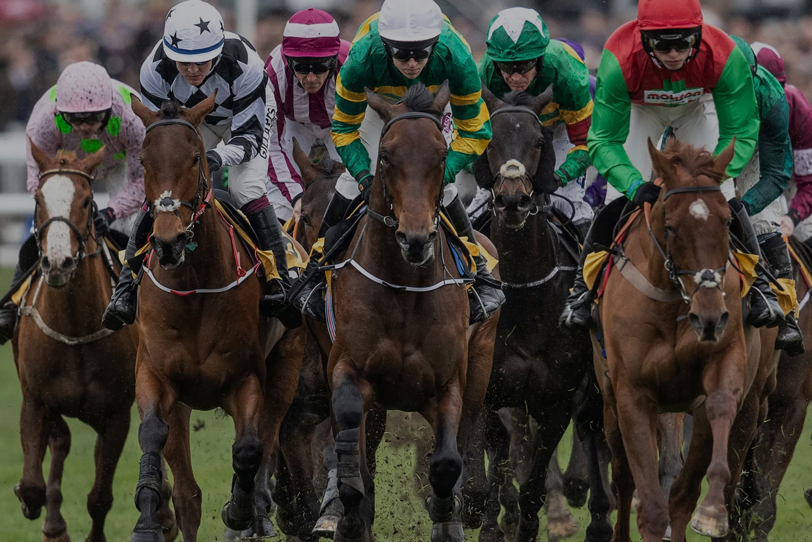Cheltenham-festival-races-accommodation