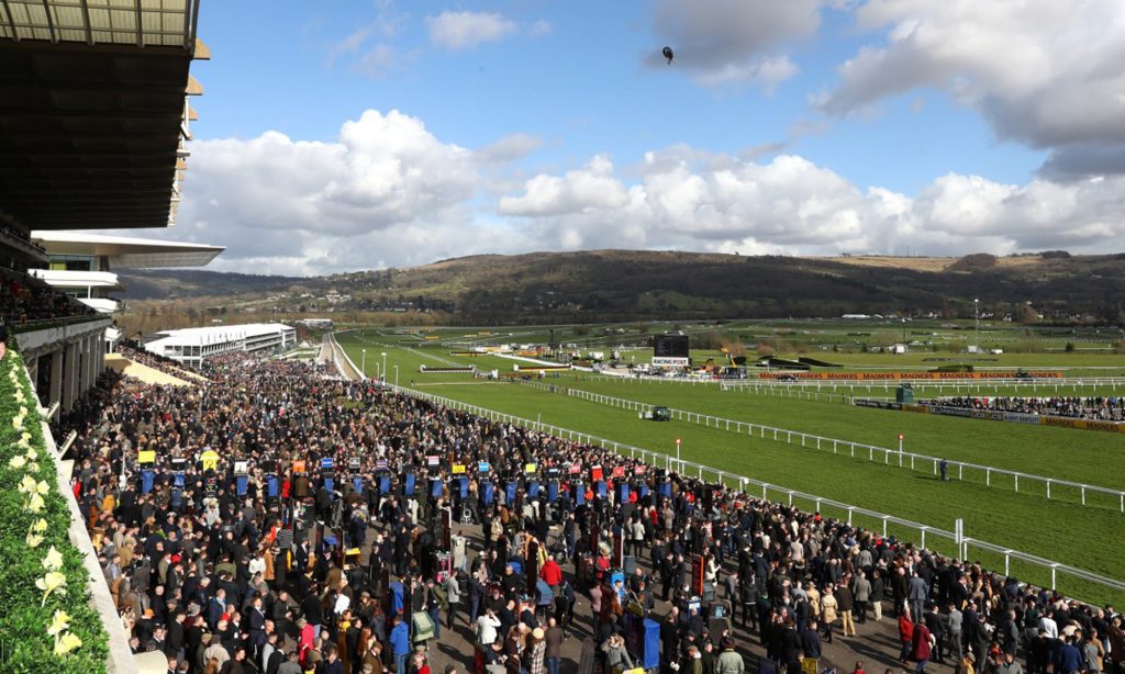 Cheltenham Festival KahloKarlina